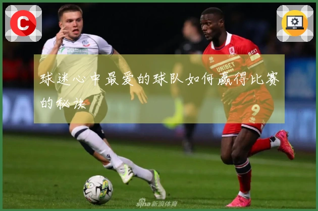 球迷心中最爱的球队如何赢得比赛的秘诀