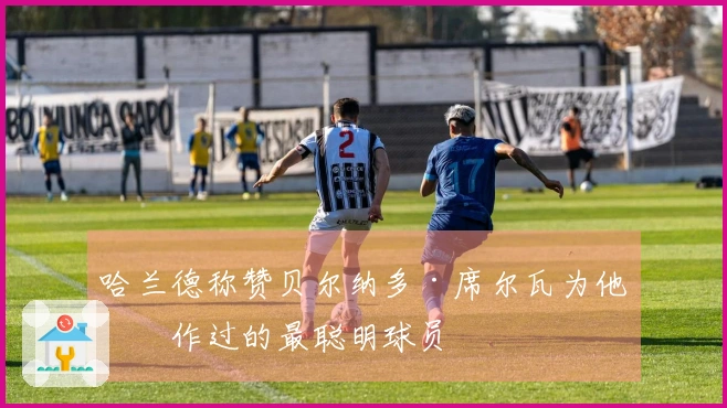 哈兰德称赞贝尔纳多·席尔瓦为他合作过的最聪明球员