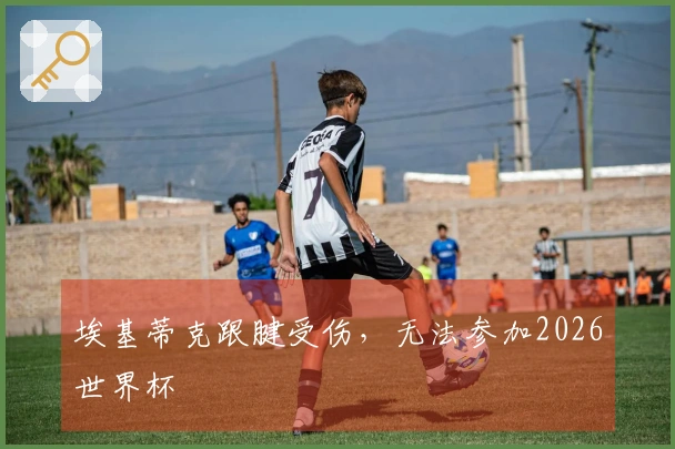 埃基蒂克跟腱受伤，无法参加2026世界杯