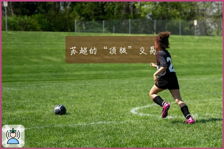 苏超的“顶级”交易