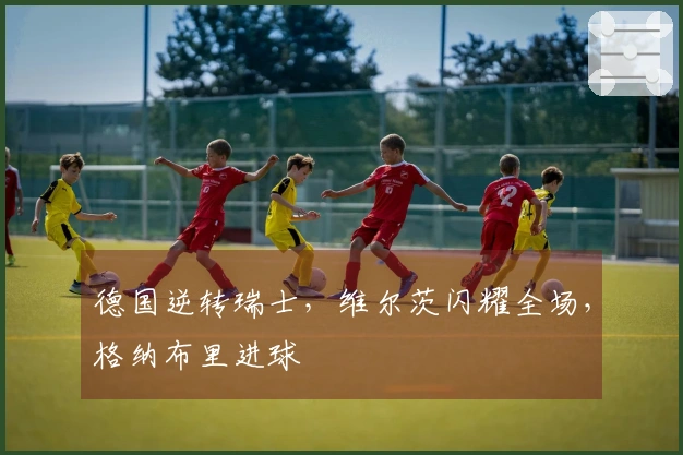德国逆转瑞士，维尔茨闪耀全场，格纳布里进球